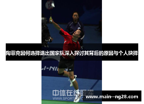 陶菲克因何选择退出国家队深入探讨其背后的原因与个人抉择