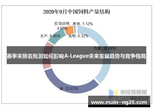 赛季末排名预测如何影响A-League未来发展趋势与竞争格局